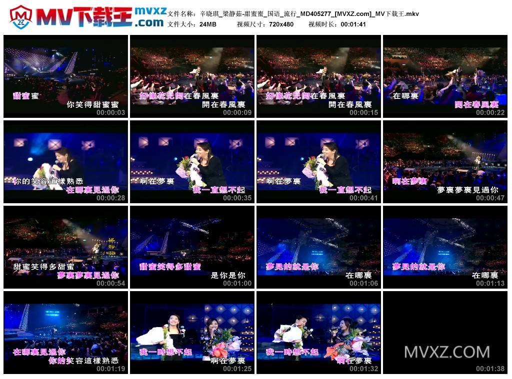 辛晓琪_梁静茹-甜蜜蜜_国语_流行_MD405277